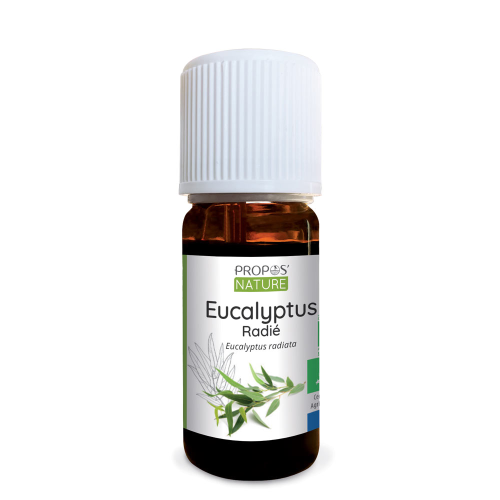 Huile essentielle d'Eucalyptus Radié