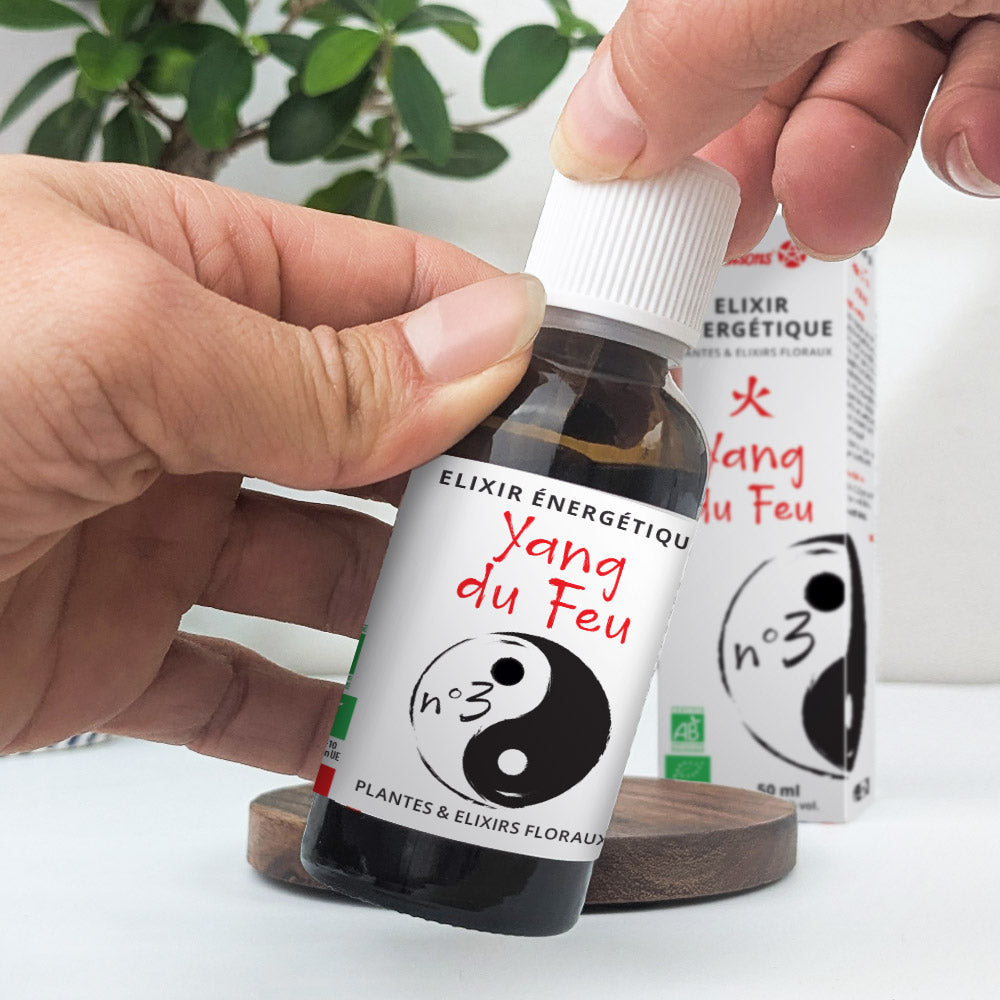 Elixir énergétique Yang du feu