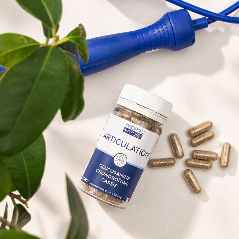 Articulation - Glucosamine Chondroitine Cassis